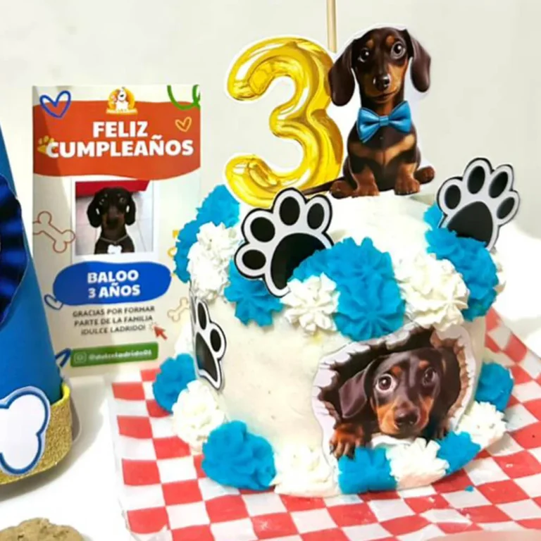 dulce ladrido website 7 tortas de cumpleanos img01